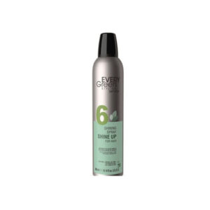 EVERYGREEN EV6 SHINE UP LUCIDANTE 300 ML